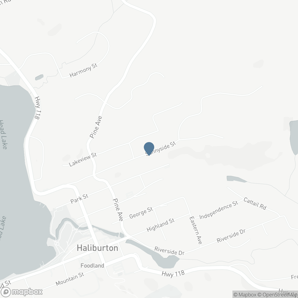 157 SUNNYSIDE STREET, Haliburton, Ontario K0M 1S0